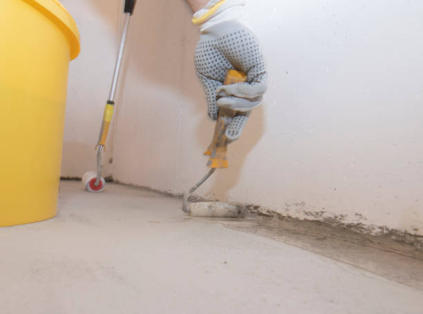 Best Pest Exclusion Services  in Madison, IN